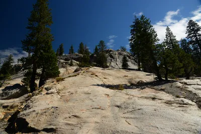 DSC_0182 (Large).JPG